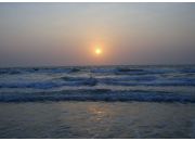  "GOA"