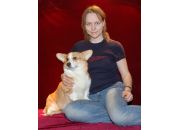  "Latvian Winner-2008 15-16 marz. Corgi's Ring"