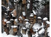 Альбом "Животные"
