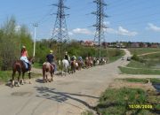  "Horses 10/05/09"