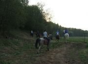  "Horses 11/05/09"