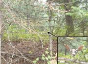 ������ "�������������� ��������"