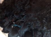  "Arbat & Ballada puppies"