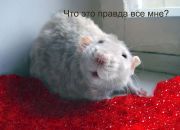  ""