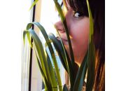 ������ "�������� ����"