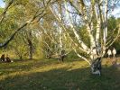 IMG 0055