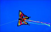 My favourite kite