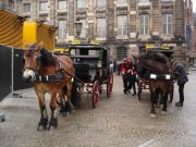 Amsterdam - City tours and taxi carriages