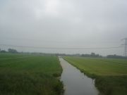  /Green fields in Holland