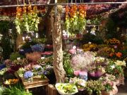 flowermarket