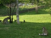 PICT0493