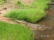 PICT0548