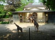 Basel Zoo