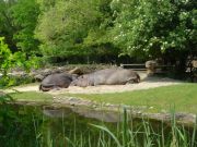 Basel Zoo