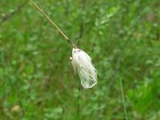DSCN0957