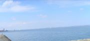 7P12md31