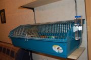 DSC 0368