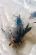 09-04