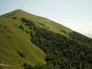 1401 м. над уровнем моря