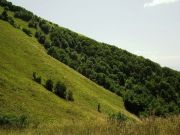 В ложбине
