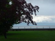 DSC00174