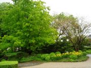 DSC001791