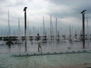 DSC002271