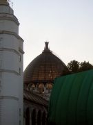 DSCN0313