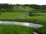 IMG 4597
