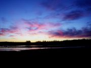   DSC08686-1