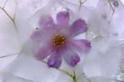 09-71