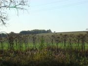 DSC09447