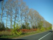 DSC09450