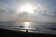 DSC 0009