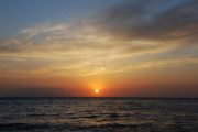 DSC 0384