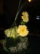 Picture 063