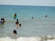 ����������� 014