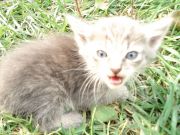  !!!!!!!!!!!!!