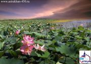 astrakhan-015