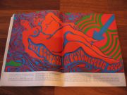 IMG 7385