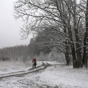 ������ ����