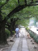 P8220030