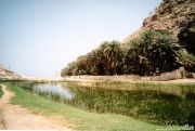  Wadi Shaab