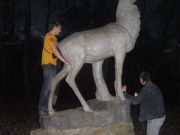 IMG 4426