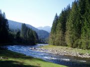 �� ���� �� ����������� �����