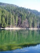 ����������� �����