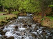 �� ������� �����