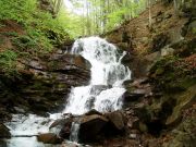 ������� �����