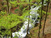 ������ ����� � ��������� ������