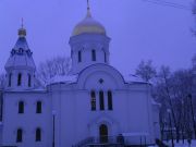 В вечерних сумерках